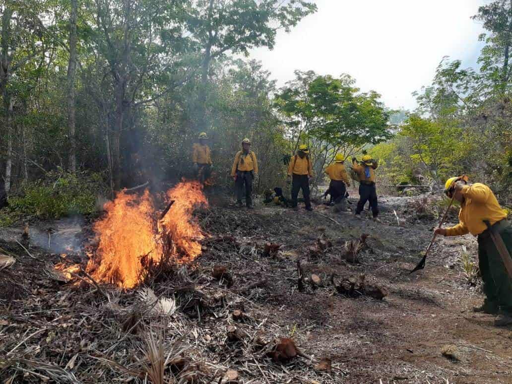 Se reportan 55 incendios forestales en el país 3 son de atención especial