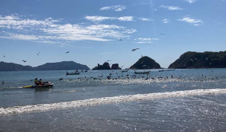 Reabren playas de Cihuatlán Jalisco tras ataque de tiburón a mujer