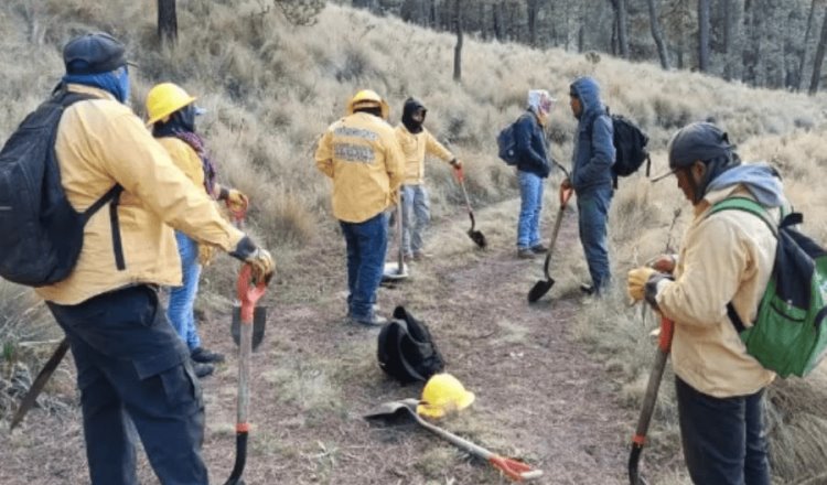 Por Incendio Cierran Acceso Al Parque Nacional Iztacc Huatl Popocat Petl