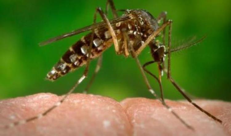 En breve podría haber repunte de casos de Zika en Tabasco: Salud Federal