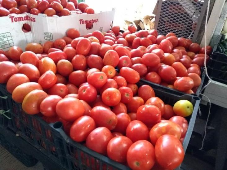 Aumentó 200 por ciento el precio del tomate en la Central de Abasto