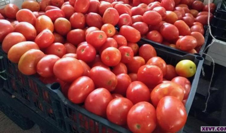 Aumentará precio de tomate y cebolla en el Pino Suárez en diciembre