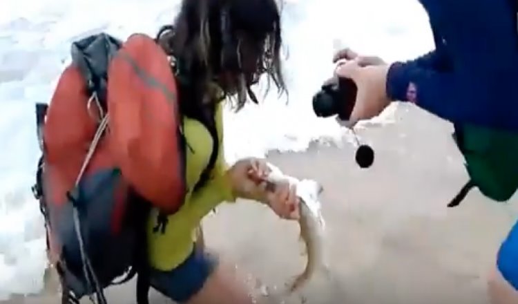 Mujer intenta tomarse una selfie con un tiburón y este la muerde