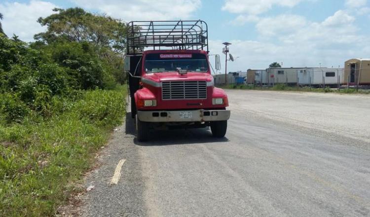 Aseguran camión cargado con semovientes en Cunduacán