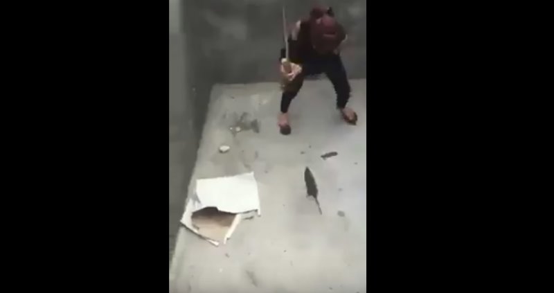 Mujer es atacada por rata al caer a un estanque 