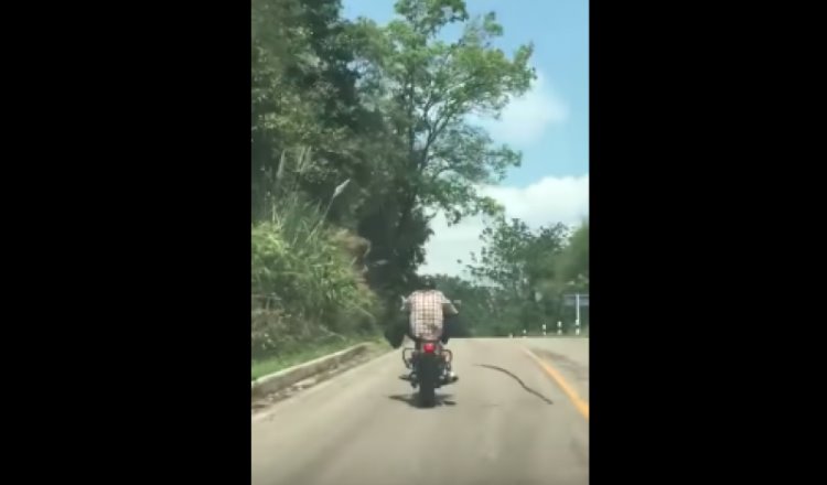 Serpiente a ataca a un motociclista en Vietnam