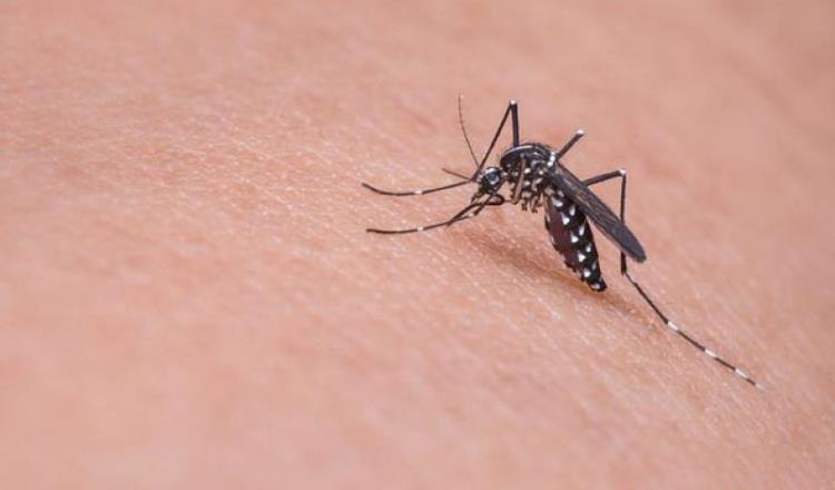 Registran nuevo caso de Zika en Tabasco; van 6 en el año