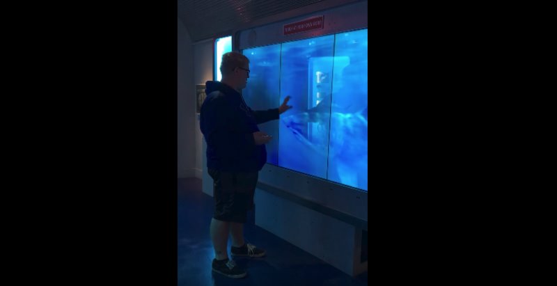 Joven pensó que sería devorado por un enorme tiburón del Museo Internacional del Espía de Chicago