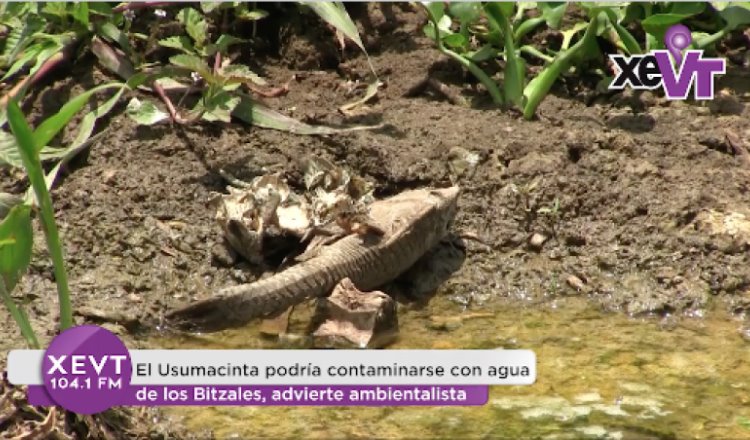 El Usumacinta podría contaminarse con agua de los Bitzales, advierte ambientalista