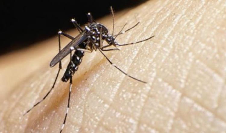 Van 16 casos de dengue clásico en colonias de Centro 