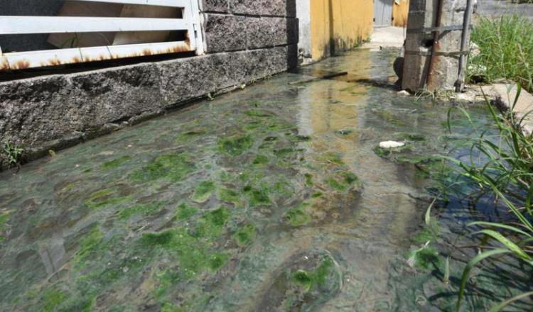 Imagen del Día: Alcantarilla desprende aguas negras las 24 horas en colonia Tamulté