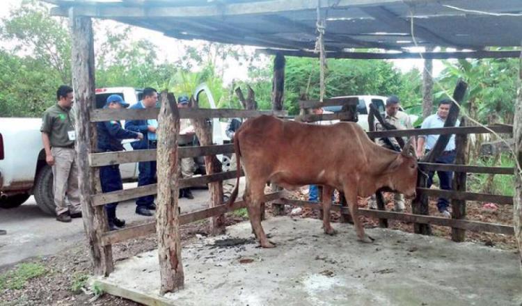 Advierten ganaderos que les ponen ‘trabas’ al denunciar casos de abigeato 