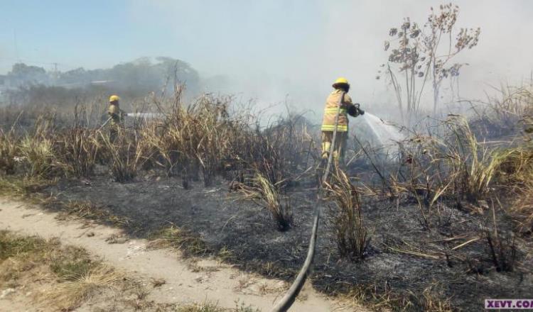 Van más de 650 incendios en el año: Mier y Terán