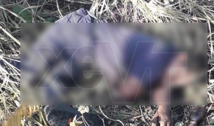 Muere policía sobre la Villahermosa–Macuspana; chocó contra unos árboles 