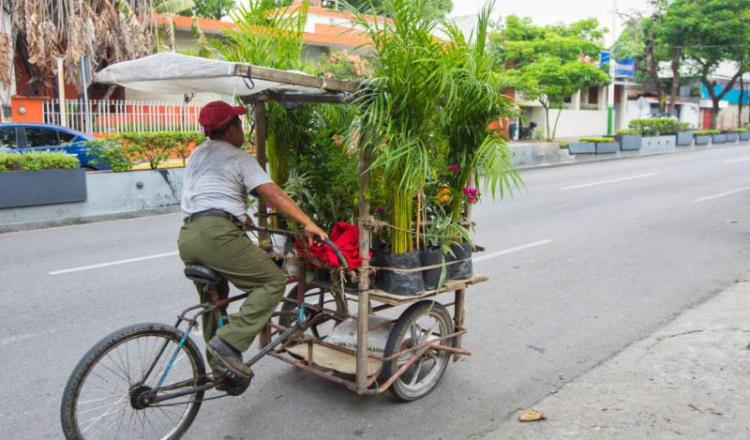 Imagen del Día: Conduce vivero sobre tres ruedas por calles de Villahermosa