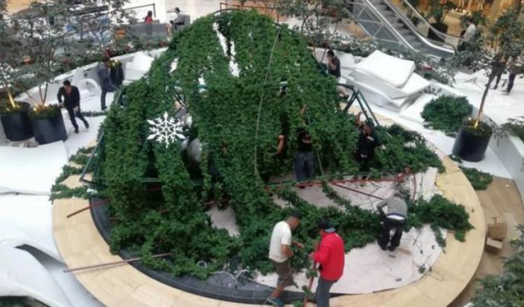 Se desploma gigantesco árbol de Navidad en la CDMX; lesiona a trabajador