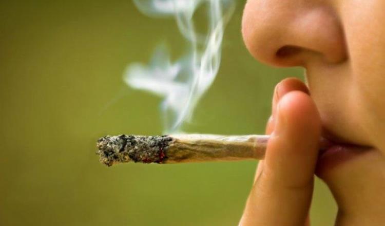 Reportan a la alza consumo de mariguana en Tabasco