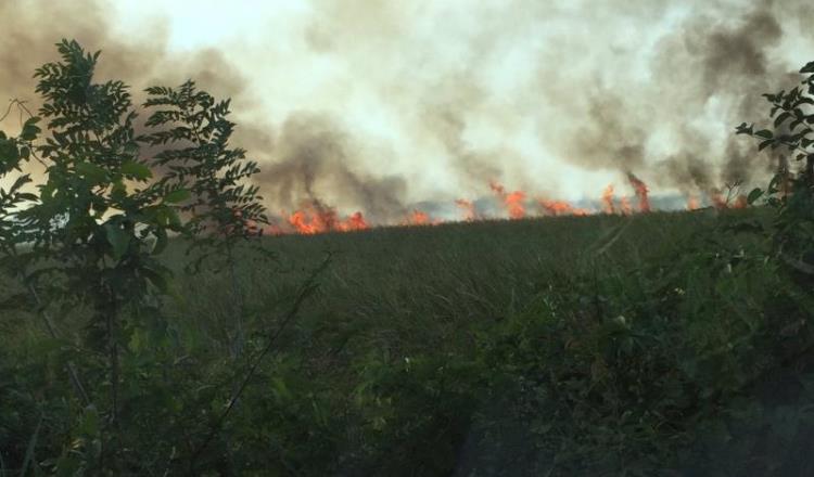 Suman más de 2 mil hectáreas afectadas por incendios en los pantanos de Centla