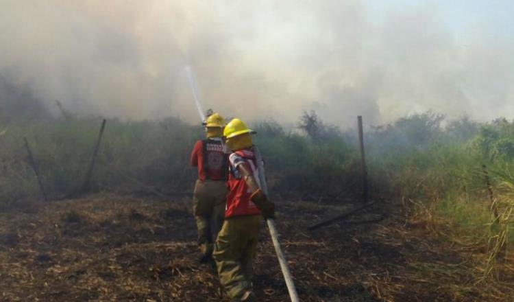 Pondrá Protección Civil guardavalla a Laguna del Negro para evitar incendios