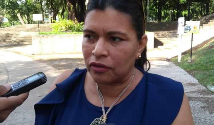 Morena busca callar y desaparecer a minorías con reducción de diputados, acusa perredista	