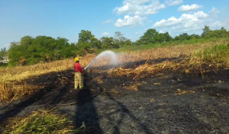Incendian laguna de El Negro por loteo, revela Protección Civil 