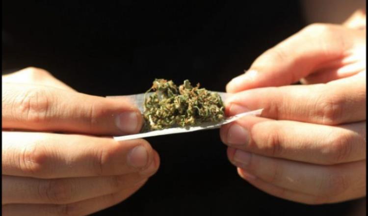 Llegan por consumo de marihuana el 50 por ciento de los jóvenes atendidos en el CIJ 