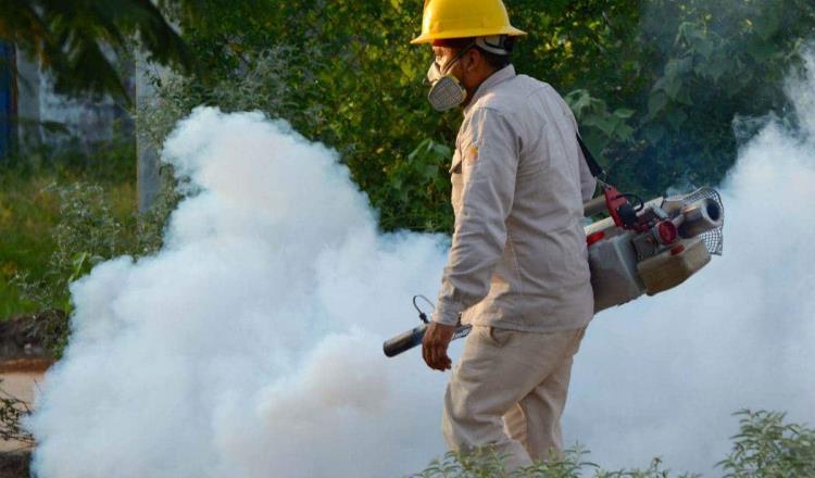 Ante nueva cepa de dengue, fumigaciones en Tabasco serán casa por casa