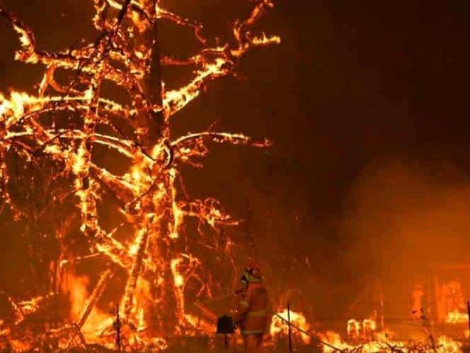 Australia anuncia investigación federal sobre incendios forestales