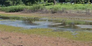 Temporada de estiaje no será severa y no se prevén retrasos para temporada de lluvias: Conagua