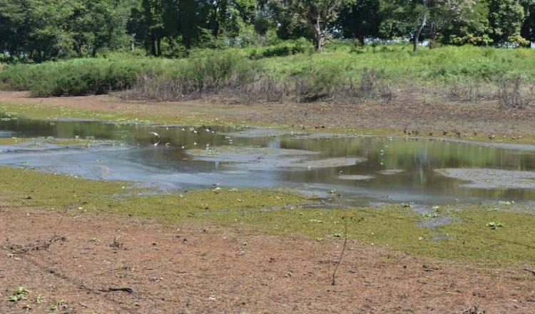 Temporada de estiaje no será severa y no se prevén retrasos para temporada de lluvias: Conagua