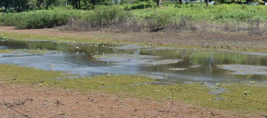 Temporada de estiaje no será severa y no se prevén retrasos para temporada de lluvias: Conagua