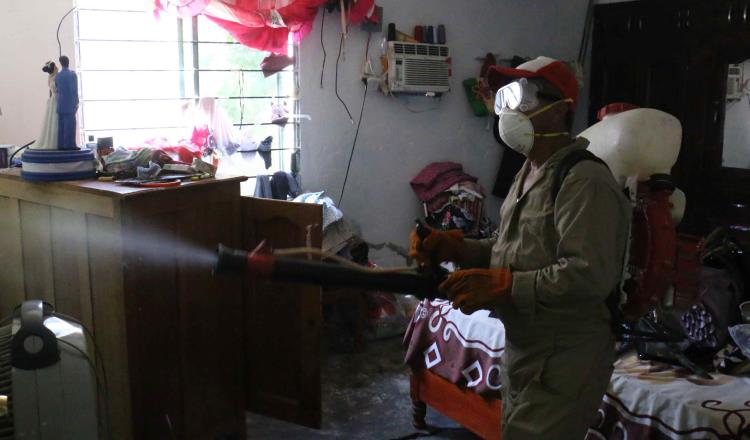 Más del 25% de las viviendas en Tabasco son propensas a propagar el dengue, advierten vectores