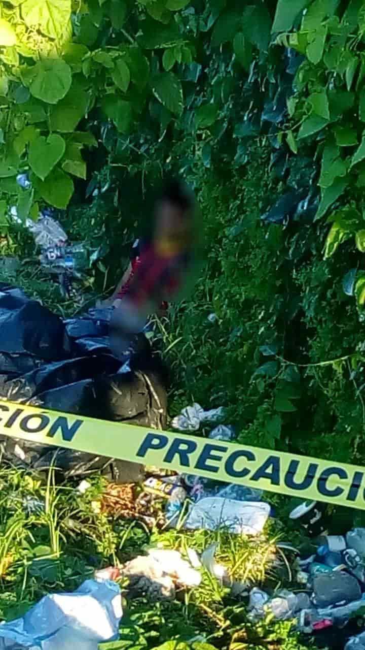 Mata víbora a hombre en Sánchez Magallanes Cárdenas