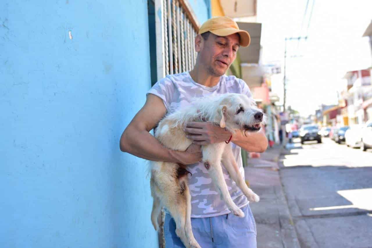 Pipo, el perrito que ya no puede caminar pero su amo se las ingenió para transportarlo de un lugar a otro