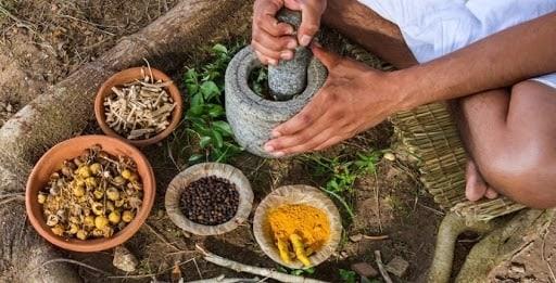 Proponen desde el Congreso local poner a disposición de pacientes del sector Salud la medicina tradicional indígena