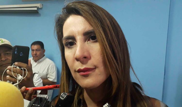 Debe Congreso revisar si créditos cumplen con requisitos de ley: Soraya Pérez
