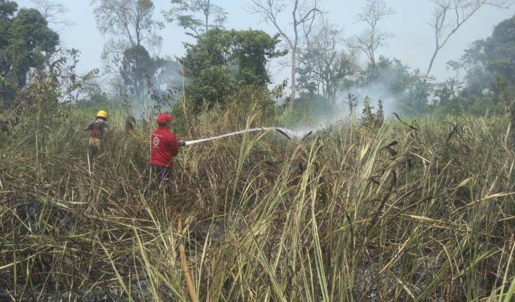 Se duplican incendios de pastizales en Tabasco en el 1er trimestre del año