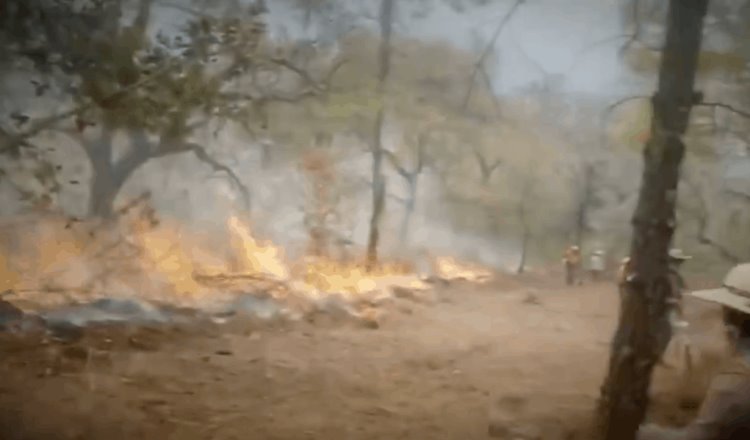 Quemas agrícolas pueden agravar enfermedades respiratorias; convocan a no hacerlas