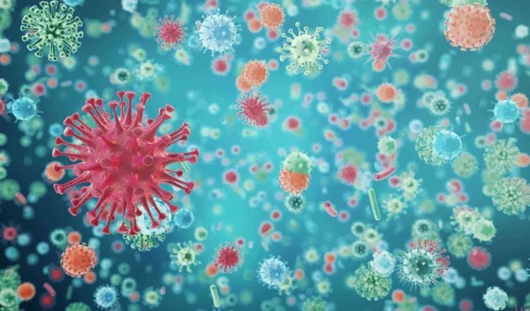 Afirman investigadores que hay tres tipos de coronavirus