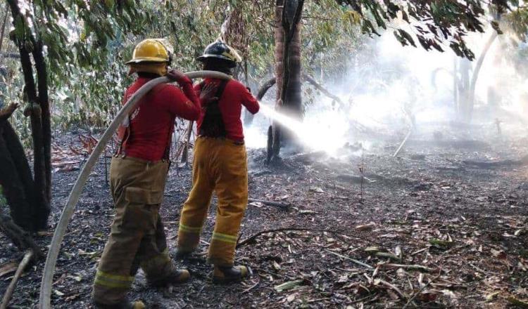 Reporta Protección Civil un total de 250 incendios; insiste en evitar las quemas