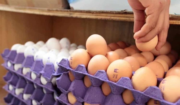 Detecta Profeco aumento en precio de huevo en mercados y centrales de abasto