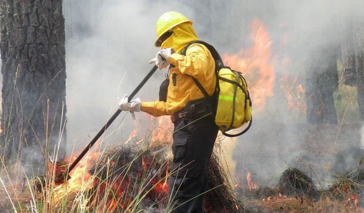 Conafor reporta 50 incendios forestales activos en 18 estados del país