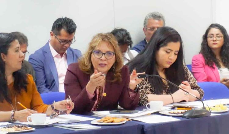 Critica diputada federal de Morena a gobernadores que proponen romper el pacto fiscal durante contingencia