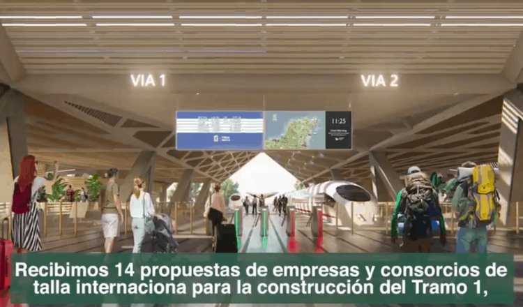 Informará López Obrador la próxima semana sobre tres contratos del Tren Maya