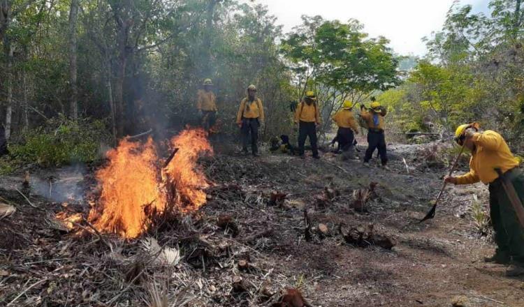 Se reportan 55 incendios forestales en el país; 3 son de atención especial