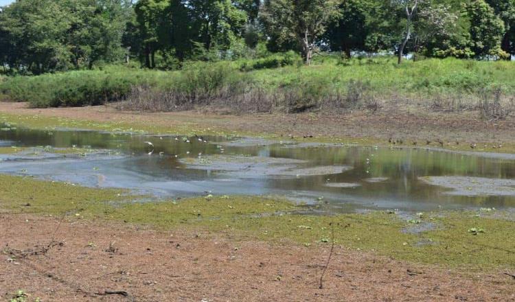 Seis municipios de Tabasco enfrentarán fuerte sequía durante 2020: Conagua