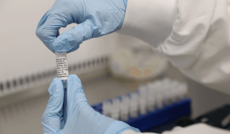 “Pfizer” solicitará autorización de emergencia para vacuna contra el covid-19 a finales de noviembre