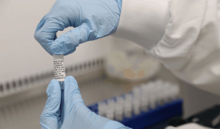 Advierte Pfizer que no aplicará descuentos a ningún país desarrollado… en venta de la vacuna contra el Covid