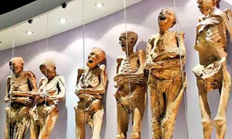 De forma misteriosa desaparecen 22 momias del Museo de las Momias de Guanajuato