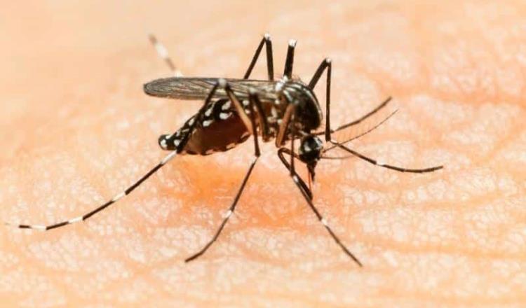 Acumula Tabasco 2 mil 596 casos probables de dengue